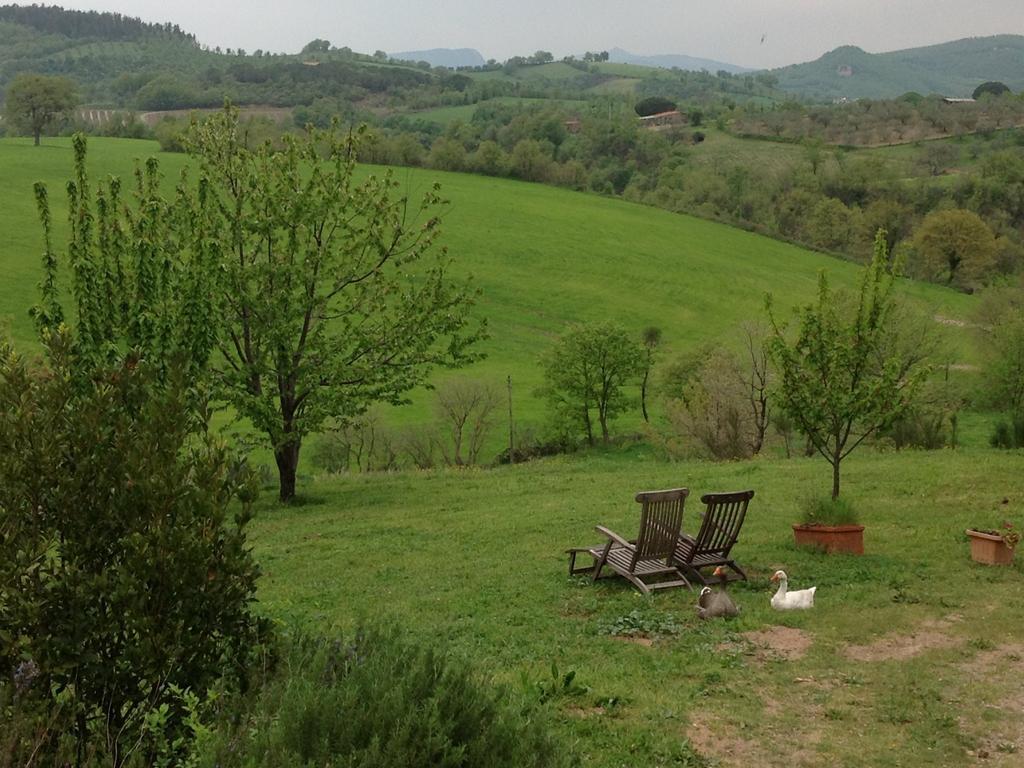 Bed and Breakfast Poggioba à Sovana Extérieur photo